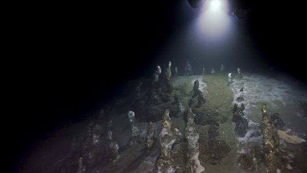 Bild 1 von 11: Mikroorganismen errichten in der Tiefsee des Roten Meeres bizarre Schlote.