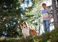Lassie - Ein neues Abenteuer