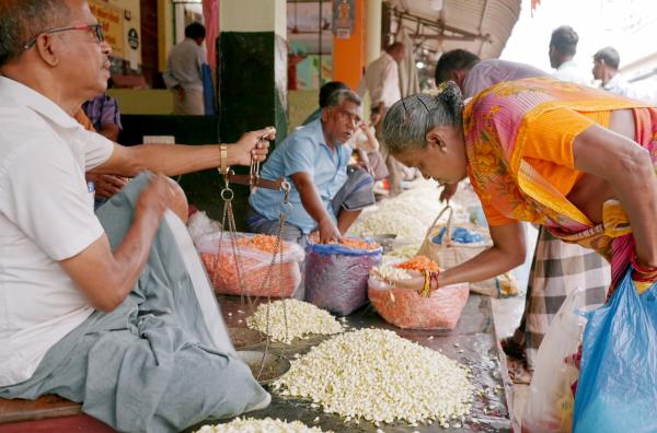 Bild 1 von 4: Auf dem Blumenmarkt im südindischen Madurai werden unter anderem Jasminblüten verkauft.