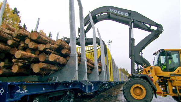 Bild 1 von 3: Fast 3.000 Tonnen Holz befördern die Züge von Hector Rail täglich.