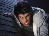 Teen Wolf