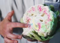 42 - Die Antwort auf fast alles