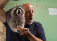 Martin Rütters Tierheimhelden