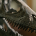Die Erben der Dinos