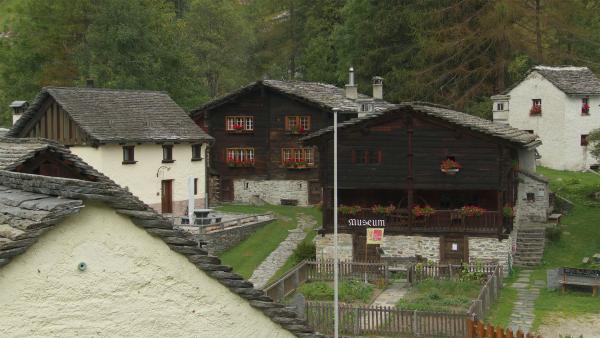 Bild 1 von 15: .