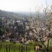 Heppenheim hautnah - Der Städtetrip