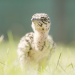 Abenteuer Wildnis