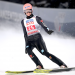 Skispringen