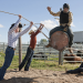 Heartland - Paradies für Pferde