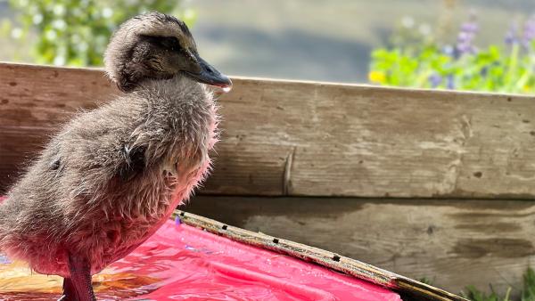 Bild 1 von 7: .