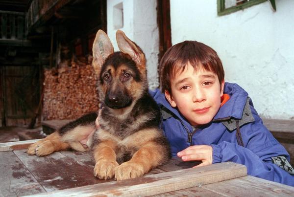 Bild 1 von 5: Im Bild: Raphael Ghobadloo (Benny Nachmann).