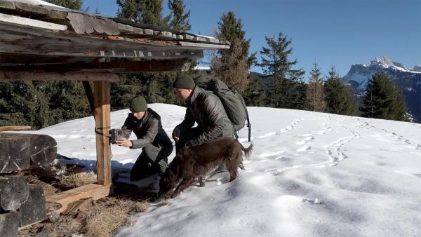 Bild 1 von 15: Im Bild:  Förster installieren Wildkameras um den Wolf zu fotografieren.