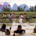 Shaolin Temple 2 - Kinder der Rache