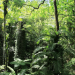 Australiens Nationalparks