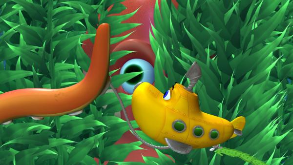 Bild 1 von 2: Timmy versucht sein Seetang-Projekt zu erledigen, aber die Tintenfische haben es auf die Pflanzen abgesehen.