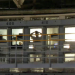 Überleben hinter Gittern