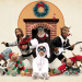 Robot Chicken