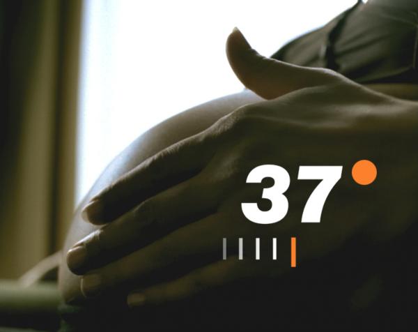 Bild 1 von 6: Logo \