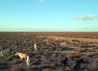 Andalusien - Spaniens mythischer Süden