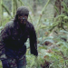 The Hunted