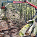 Rund ums Höllengebirge