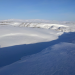 Polarwölfe - Überleben in Kanadas Arktis