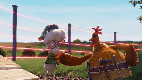 Bild 1 von 2: Schaf Billy und Huhn Flo begutachten den neuen Laser-Zaun, den der Bauer um ihr Grundstück gezogen hat. Der Coop Troop sitzt auf dem Bauernhof fest.