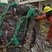 Bilder zur Sendung: Superschiffe - Riesen-Trawler Northern Eagle