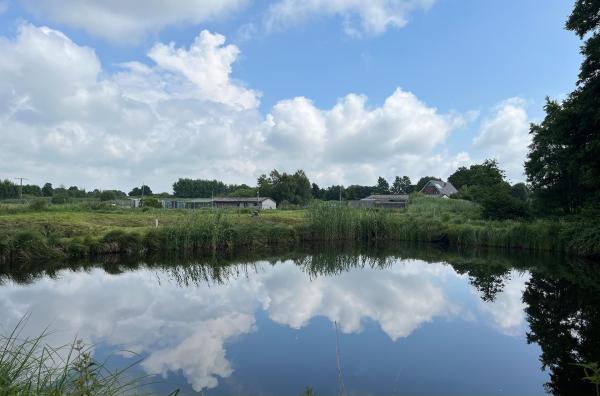 Bild 1 von 9: 