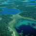 Ein Tag in der Wildnis - Der Amazonas