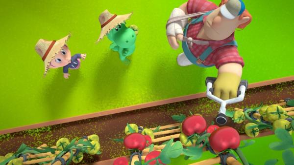 Bild 1 von 5: Die ganz roten Tomaten, die ganz oben, die soll Grisu ernten.