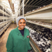 Foodhacks mit Nadiya Hussain