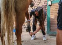 Die Mädchen-WG - Im Schloss am See