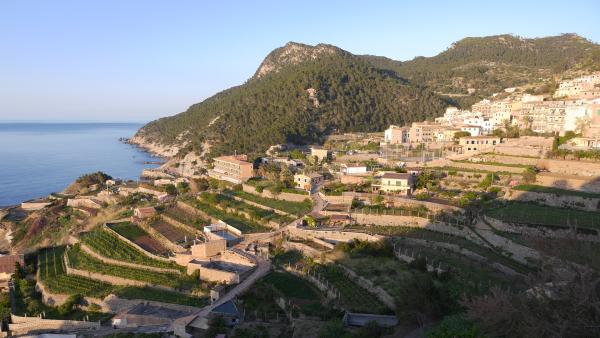 Bild 1 von 7: .