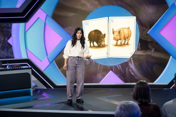 Bild 1 von 11: Für die domestizierten Arten bedeutete ihre Domestizierung einen gewaltigen Einschnitt. Eigenschaften, die vorher höchstens mittelmäßig relevant waren, wurden vom Menschen gezielt weiter gezüchtet.