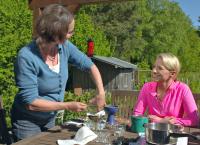 Expedition in die Heimat