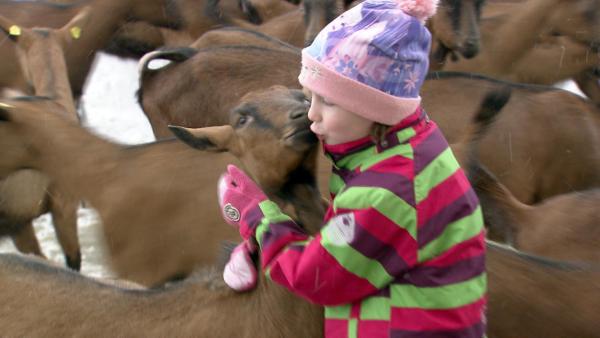 Bild 1 von 23: Im Bild: Klara, die Enkelin von Sepp Mühlbacher.