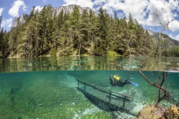 Bild 1 von 3: Was ist das für ein Ort, an dem Fische durchs Gras schwimmen und Blumen unter Wasser blühen? Die Dokumentation findet eine Erklärung für dieses wunderschöne und zugleich sonderbare Ereignis.