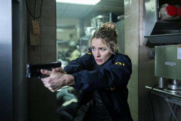 Bild 1 von 8: Special Agent Nina Chase (Shantel VanSanten)
