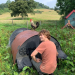 Taste of the Country - Sommer auf dem Land