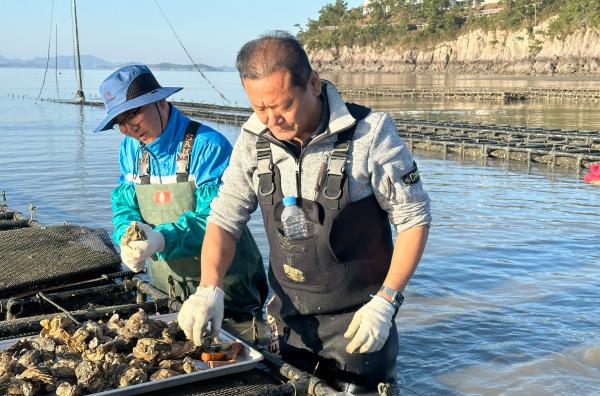 Bild 1 von 3: Seit 2019 züchtet der Landrat Shin Sang-Soo (re.) auf der Insel Sinan Austern.