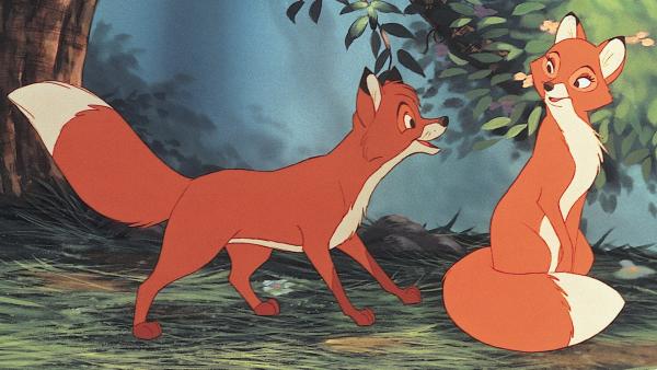 Bild 1 von 10: Fuchsjunge Cap und Jagdhund Capper sind die besten Freunde, obwohl sie in der Natur Feinde sein müssten. Als Cap ein Jahr wird trennen sich jedoch ihre Wege, denn die menschliche Ziehmutter entlässt den jungen Fuchs in die Wildnis. Ob die Freundschaft von Cap und Capper die natürlichen Grenzen überwinden kann?