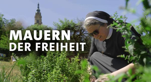 Bild 1 von 2: 