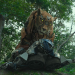 Transformers: Aufstieg der Bestien