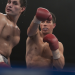 The Fighter