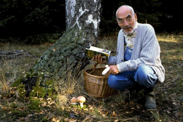 Bild 1 von 1: Peter (Peter Lustig) findet an der Birke einige Pilze. Diese Pilze holen sich ihre Nahrung aus den Wurzeln der Birke. Aber der Pilz gibt dem Baum auch etwas, so steht es jedenfalls im Pilzbuch.