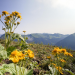 Land der Berge
