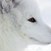 Abenteuer Wildnis