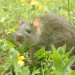 Abenteuer Wildnis