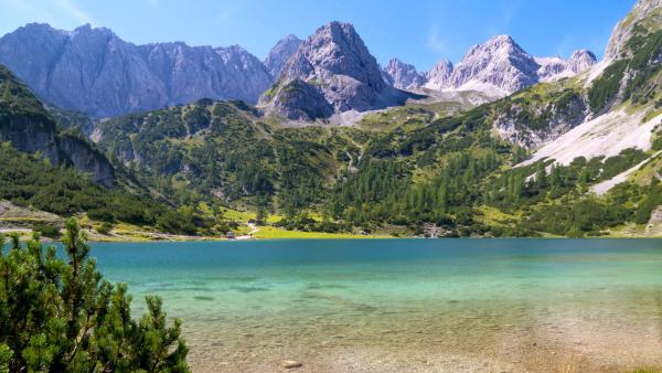Bild 1 von 1: .